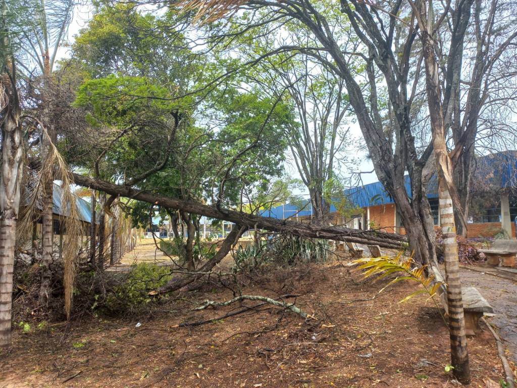 Temporal em Bauru causa estragos e prejuízos ao campus da&nbsp;Unesp
